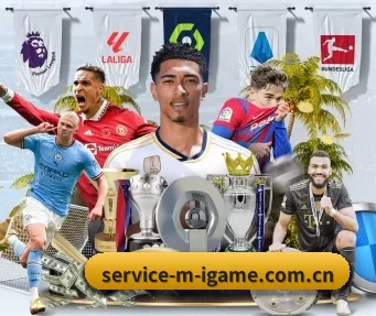 service-m-igame.com.cn APP